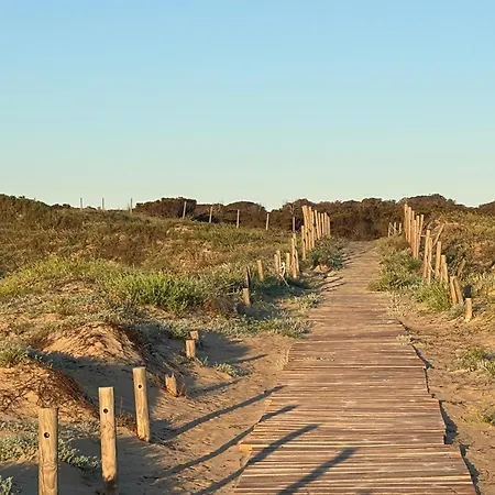 Emilia De La Playa *